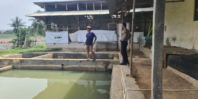 Edukasi Peternak Ikan, Polsek Plered Dukung Ketahanan Pangan Di Purwakarta