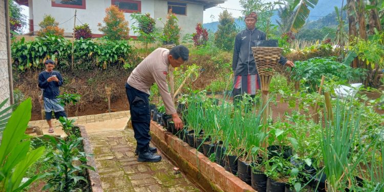 Kegiatan Sambang Polisi Penggerak Pekarangan dan Perkebunan lahan tanaman bergizi ketahanan Pangan Nasional Bripka Erik S Bhabinkamtibmas Desa Pusakamulya