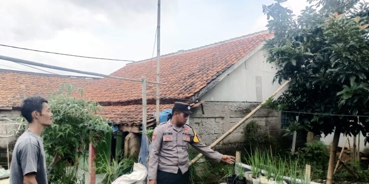 Pemanfaatan Pekarangan Rumah untuk Ketahanan Pangan di Desa Mekarjaya