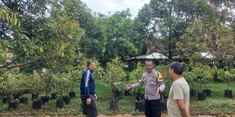 Pererat Kemitraan, Bhabinkamtibmas Polsek Bungursari Polres Purwakarta Sambangi Warga di Area Perkebunan