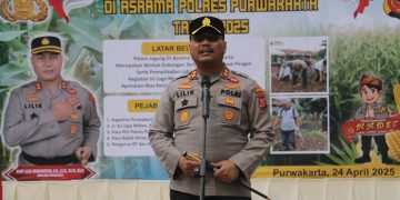 Komitmen Mendukung Mendukung Ketahanan Pangan, Polres Purwakarta Gelar Panen Raya Jagung Varietas Bonanza di Asrama