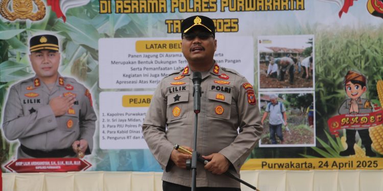 Komitmen Mendukung Mendukung Ketahanan Pangan, Polres Purwakarta Gelar Panen Raya Jagung Varietas Bonanza di Asrama