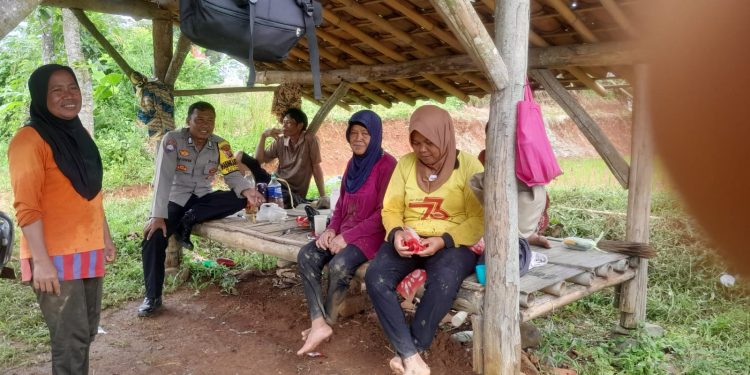 Ngobrol di Saung Sawah, Bhabinkamtibmas Polsek Cibatu Sambangi Para Petani