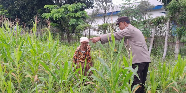 Sambang Kamtibmas Ke Petani, Cara Bhabinkamtibmas Polsek Campaka Dukung Asta Cita