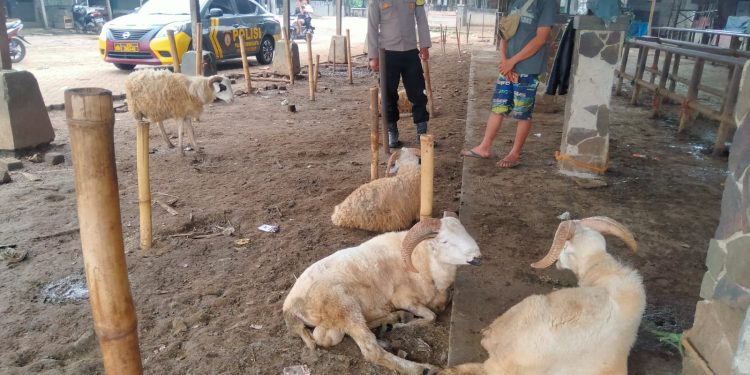 Cegah Pencurian Hewan Ternak Jelang Idul Adha, Polres Purwakarta Terus Ingatkan Para Pedagang