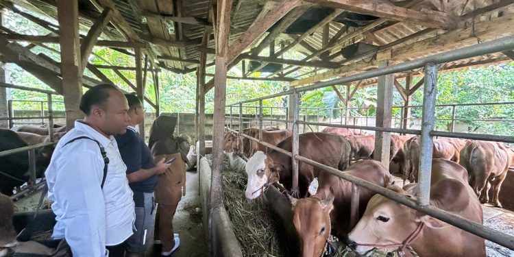 Bersama Disnakan, Polres Purwakarta Lakukan Pengecekan Kesehatan Hewan Kurban