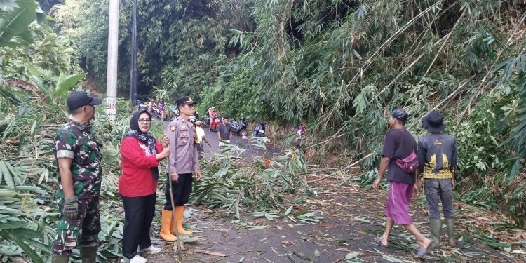 Beruntung Tidak Ada Korban, Polsek Cibatu Bergerak Cepat Tinjau Lokasi Longsor di Desa Cibukamanah