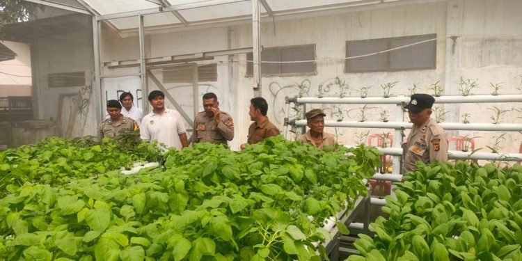 Lomba Ketahanan Pangan, Sat Binmas Polres Purwakarta Lakukan Pengecekan Pekarangan Polsek Plered