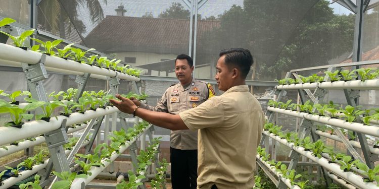 Polsek Bungursari Polres Purwakarta Bersama Aparat Desa Lakukan Monitoring Ketahanan Pangan di Wilayah