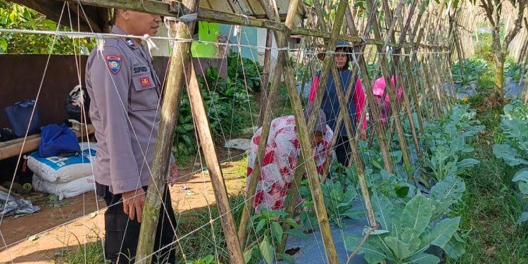 Demi terciptanya Keamanan lingkungan Polri hadir untuk menjaga keamanan desa binaan dan Giat Pendampingan Ketahanan Pangan Warganya