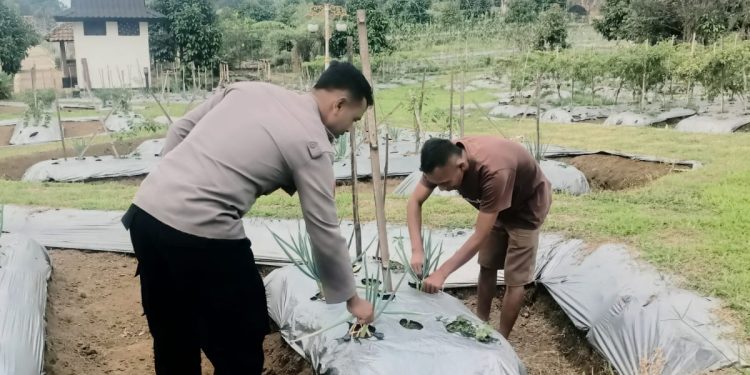 Bhabinkamtibmas Desa Mekarjaya Bripka Budi Setiawan Melaksanakan Sambang Penggiat Ketahanan Pangan di Desa Mekarjaya
