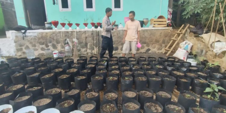 Dukung Ketahanan Pangan, Bhabinkamtibmas Polres Purwakarta Silaturahmi Ke Petani