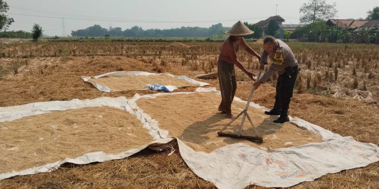 Rutin Lakukan Sambang Ke Petani, Upaya Polsek Campaka Dukung Ketahanan Pangan