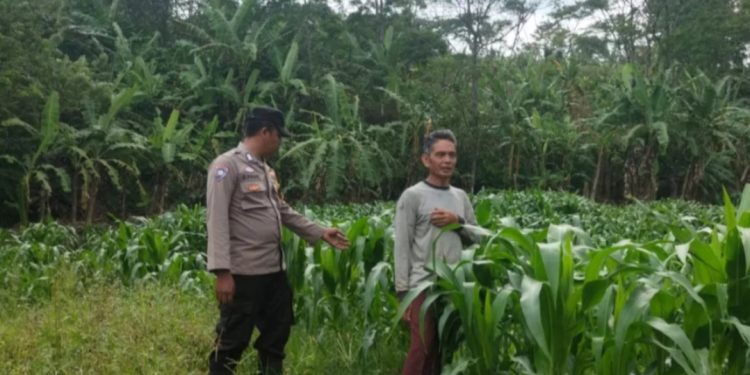 Dukung Program Ketahanan Pangan, Polisi Di Purwakarta Ajak Warga Manfaatkan Lahan Untuk Menanam