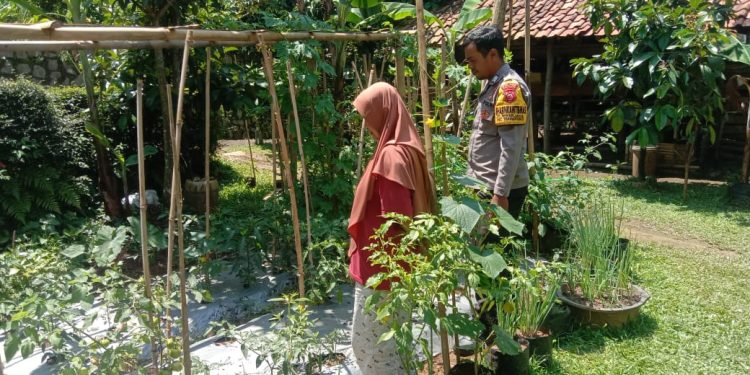 Bhabinkamtibmas Desa Mekarjaya Melaksanakan Sambang Penggiat Ketahanan Pangan Pekarangan Rumah Desa Mekarjaya, Kecamatan Kiarapedes