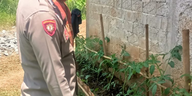 Bhabinkamtibmas Desa Mekarjaya Laksanakan Sambang Kegiatan Penggiat Ketahanan Pangan Pada Pekarangan Rumah