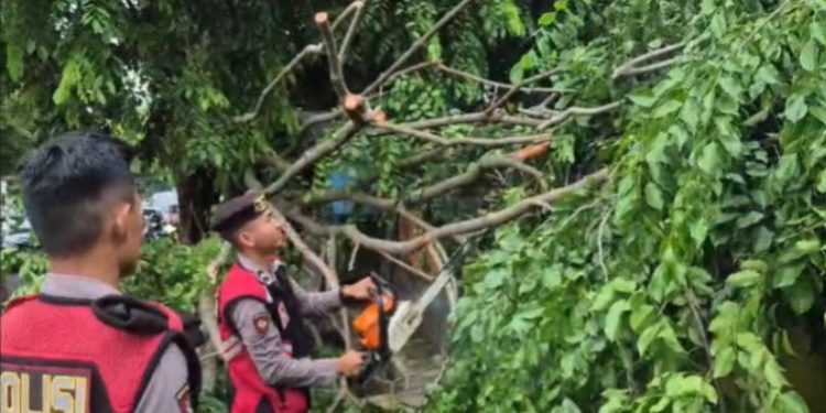 Respon Cepat Polres Purwakarta Saat Evakuasi Pohon Tumbang di Jalan Veteran