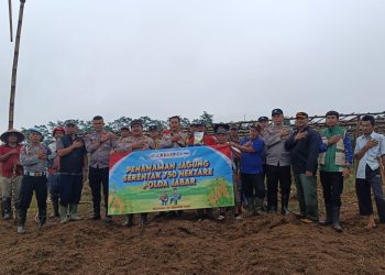 Polsek Bojong Dukung Program Ketahanan Pangan, Gelar Penanaman Raya Jagung Hibrida Serentak 750 Hektare Polda Jabar
