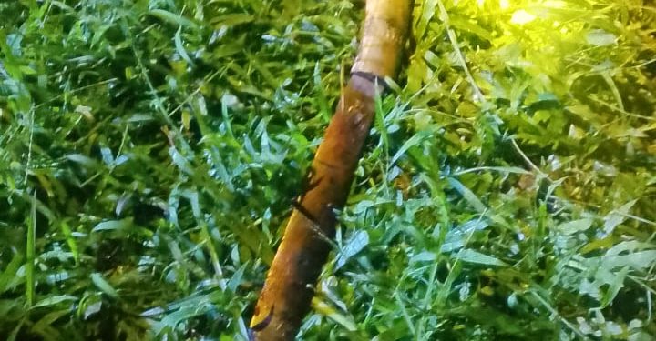 Tagih Utang Berujung Maut, Polisi Ungkap Dugaan Tindak Pidana Merampas Nyawa di Kiarapedes