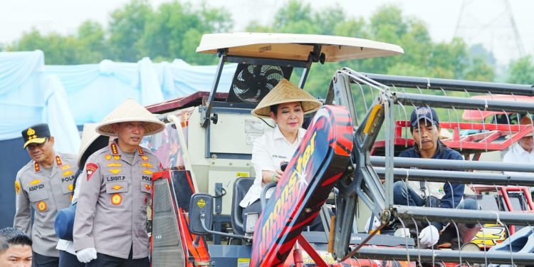 Kapolri-Ketua Komisi IV Pimpin Panen Raya Jagung Serentak, Wujud Nyata Dukung Ketahanan Pangan Nasional