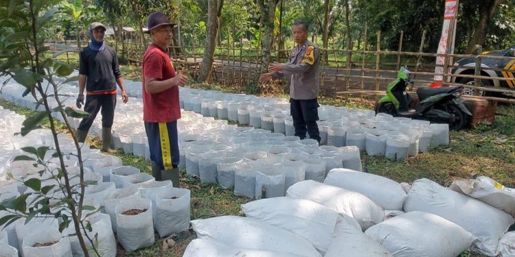 BHABINKAMTIBMAS DESA CAMPAKASARI LAKSANAKAN GIAT KETAHANAN PANGAN, WUJUD KEPEDULIAN POLRI UNTUK MASYARAKAT