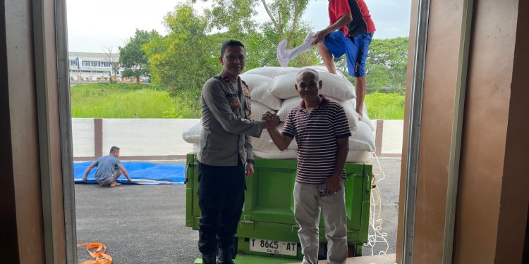 Perkuat Ketahanan Pangan, Hasil Panen Jagung Kiarapedes Diserap Bulog Subang