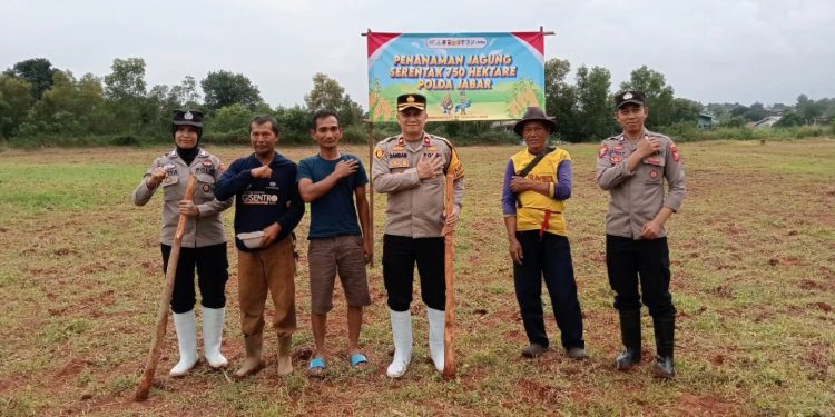 Kapolsek Bungursari Polres Purwakarta Pimpin Langsung Penanaman Jagung Hibrida Serentak Kuartal I