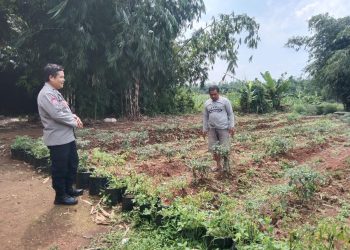 Silaturahmi Ke Petani, Cara Polsek Plered Dukung Ketahanan Pangan