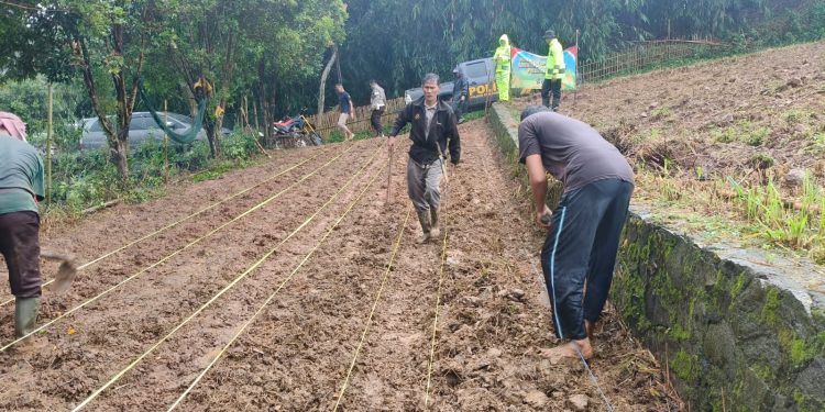 Kapolsek Sukasari Pimpin Penanaman Jagung Serentak Dukung Swasembada Pangan