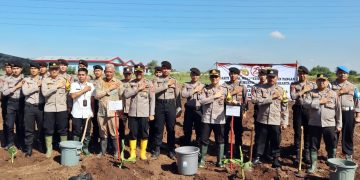 Sambut Hari Bhayangkara Ke-78, Polres Purwakarta Peduli Ketahanan Pangan Gelar Bakti Penanaman Pohon Pisang