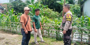 Bhabinkamtibmas Monitoring Ketahanan Pangan Pekarangan Rumah Terbatas di Desa Raharja
