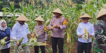 Polsek Bungursari Polres Purwakarta Ikuti Secara Virtual Panen Raya Jagung Serentak Tahap I