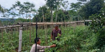 Giat Ketahanan pangan nasional Polsek Kiarapedes