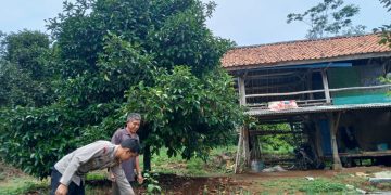 Dukung Program Ketahanan Pangan, Bhabinkamtibmas Polres Purwakarta Rutin Sambangi Masyarakat