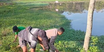 Forkopimcam Bersama Polsek Wanayasa Laksanakan Kegiatan Sawarsih di Situ Wanayasa