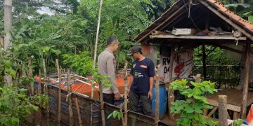 Bhabinkamtibas Sambang Program Ketahanan Pangan Bidang Budidaya Ikan Lele di Wilayah Hukum Polsek Jatiluhur