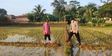 Sambang Petani, Bentuk Dukungan Polsek Plered Untuk Ketahanan Pangan