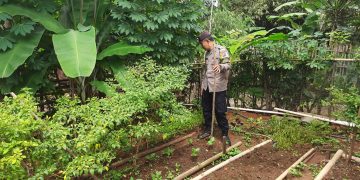 Ajak Warga Manfaatkan Pekarangan Rumah Untuk Menanam, Wujud Polres Purwakarta Dukung Program Ketahanan Pangan