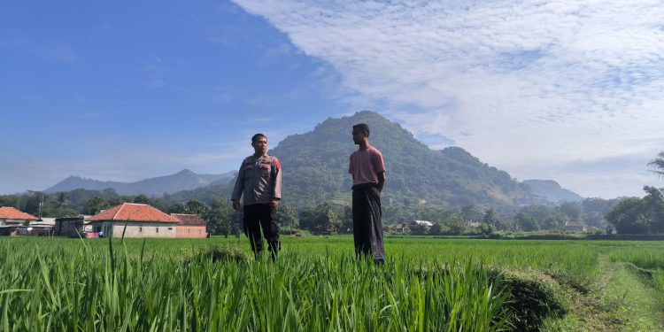 Lewat Sambang Petani, Bentuk Dukungan Polsek Plered Untuk Ketahanan Pangan
