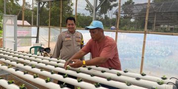 Bhabinkamtibmas Polsek Bungursari Polres Purwakarta Sambangi Petani Hidroponik, Dorong Ketahanan Pangan dan Keamanan Lingkungan
