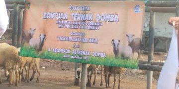 Bersama Disnakan, Polres Purwakarta Monitoring Kegiatan Bantuan Ternak Domba