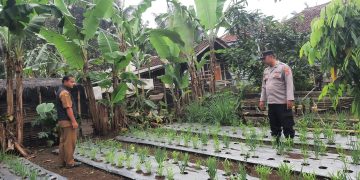 Dukung Program Ketahanan Pangan, Polisi Di Purwakarta Ajak Warga Manfaatkan Lahan