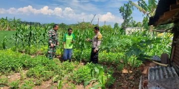 TNI-Polri Sambangi Petani Cibatu, Dukung Penuh Program Ketahanan Pangan