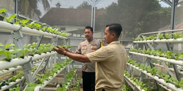 Polsek Bungursari Polres Purwakarta Bersama Aparat Desa Lakukan Monitoring Ketahanan Pangan di Wilayah