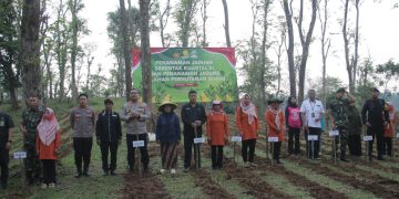 Bersama Forkopimda, Polres Purwakarta Lakukan Penanaman Jagung Di Desa Panyindangan