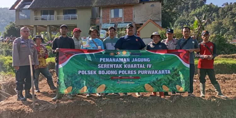 Bersama Pemerintah Desa Cihanjawar, Kapolsek Bojong Tanam Jagung Untuk Ketahanan Pangan