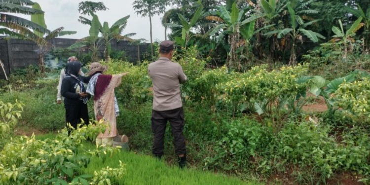 Kapolres Purwakarta Dukung Program Ketahanan Pangan di Musim Hujan melalui Kegiatan Bhabinkamtibmas Desa Campaka