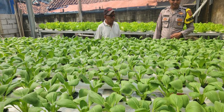 BHABINKAMTIBMAS DESA CIKUMPAY AIPDA MARTULLAH SOBIRIN MELAKSANAKAN GIAT KETAHANAN PANGAN