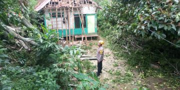 Respon Cepat Polisi Di Purwakarta Saat Evakuasi Pohon Tumbang di Kecamatan Wanayasa