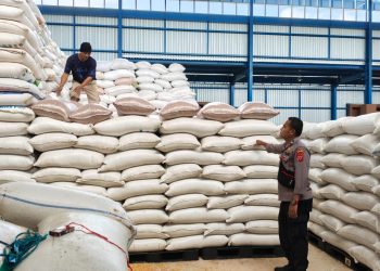 Dukung Ketahan Panganan, Hasil Panen Jagung Polsek Plered Lolos Standar Mutu Bulog